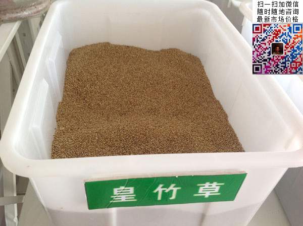 皇竹草种子图片 皇竹草种子图片