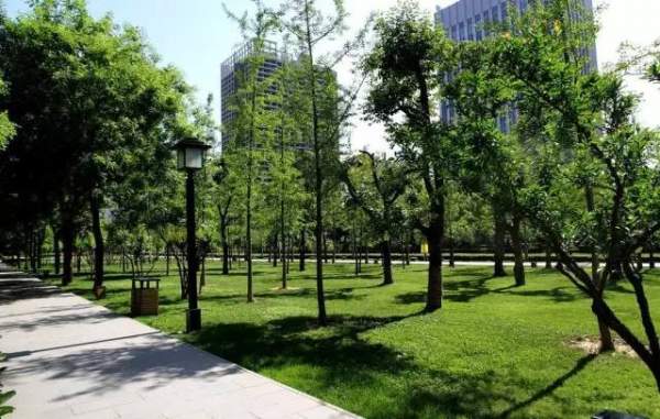 城市园林绿化设计的八点不宜