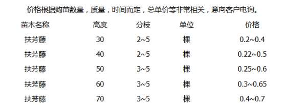 沭阳最新的扶芳藤报价