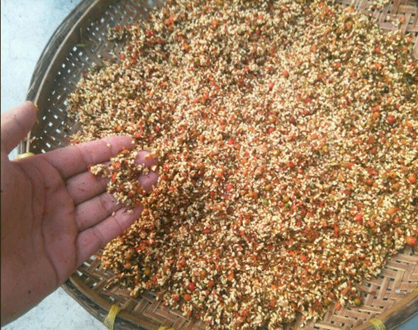 打磨后的蔷薇种子 打磨后的蔷薇种子