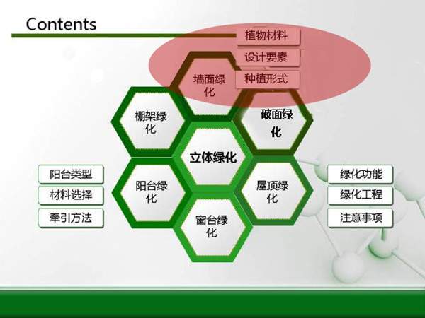 立体绿化方案总图