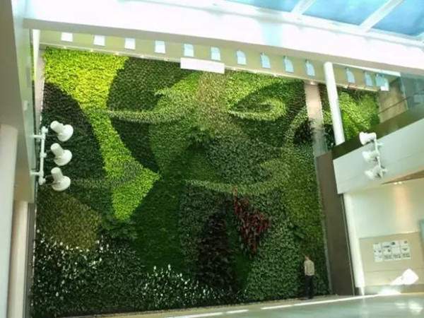 墙面绿化