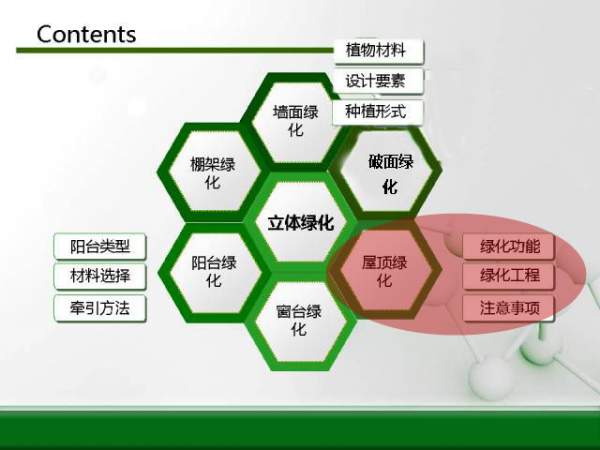 立体绿化规划图--屋顶绿化