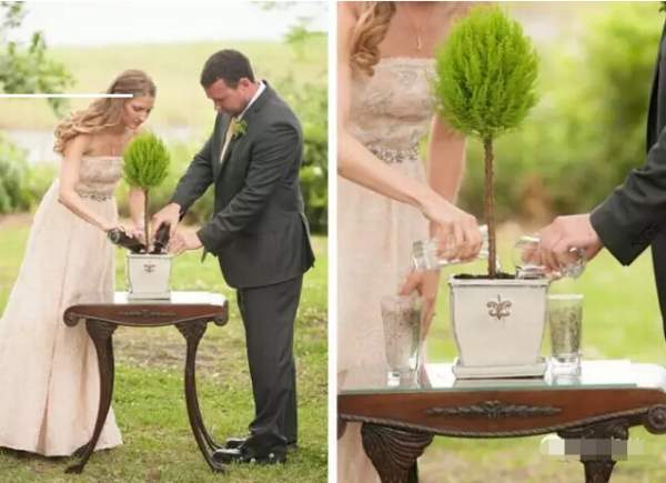 结婚离婚要植树