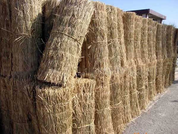 稻草绳图片 稻草绳图片
