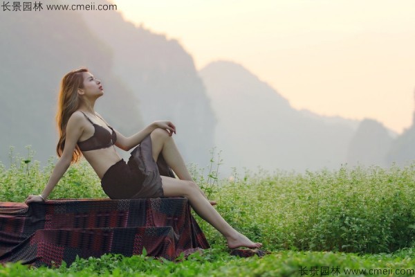 甜荞麦种子发芽出苗图片