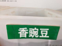 香豌豆种子