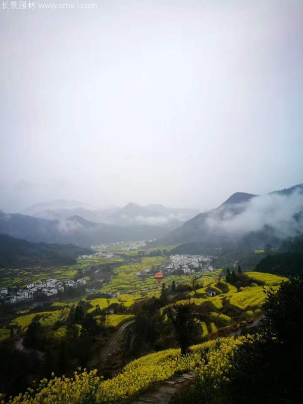 黄色花海油菜花田景观乡村旅游