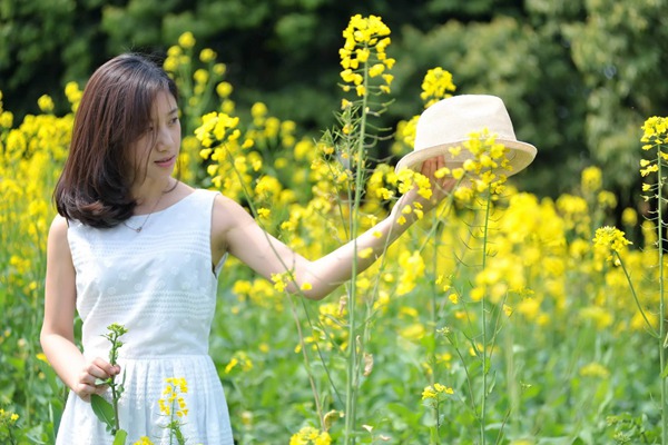 油菜