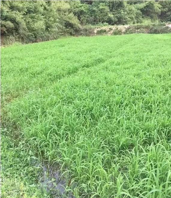 1578966336618287.png 3.png