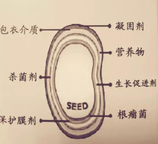 浅析草坪选种的关键技术