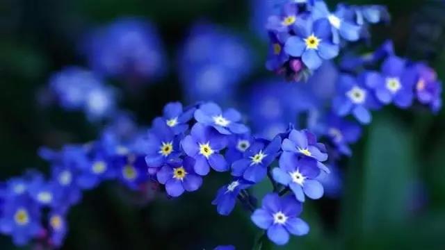 微信图片_20200519153306.jpg