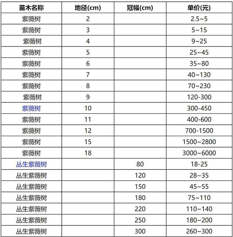 2022年紫薇树最新价格表查询