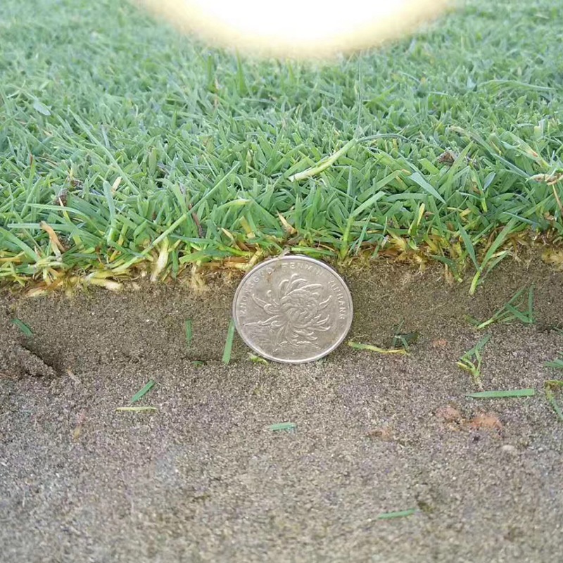 1646806927829094.jpg