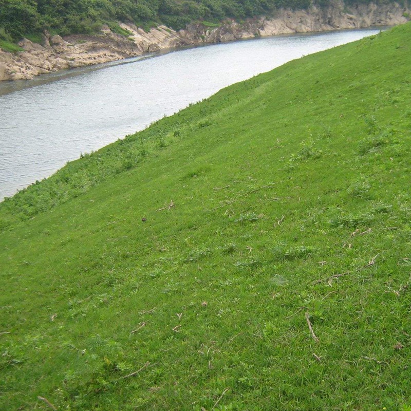 1646807406757667.jpg