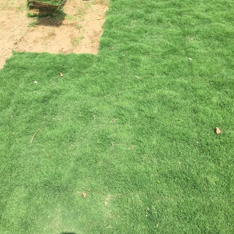 1646894996819770.jpg
