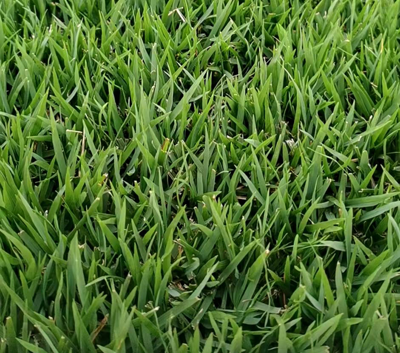 1647538675215759.jpg