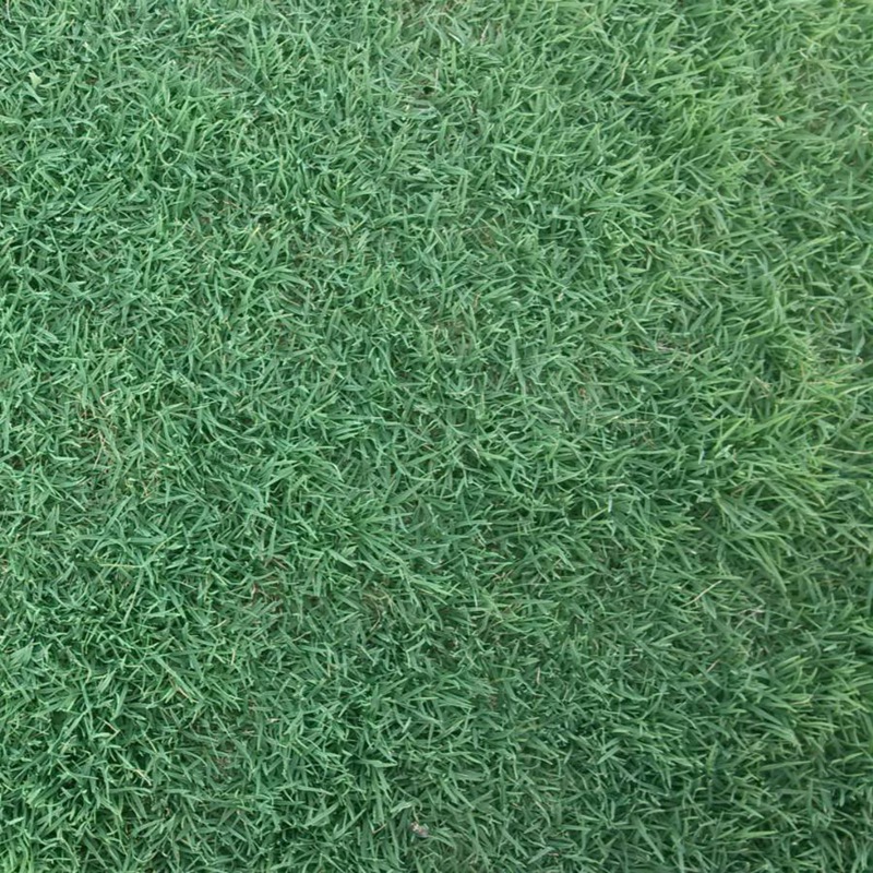 1647570651333860.jpg