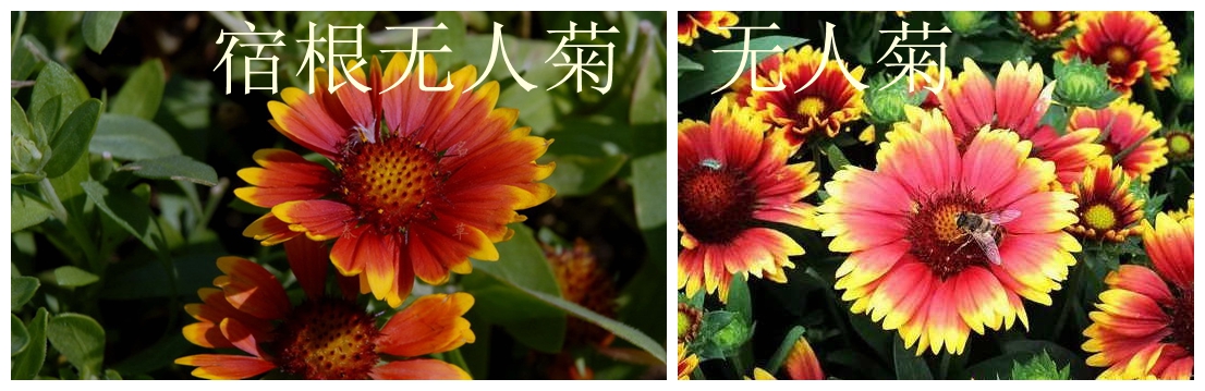 t011ede54587d13a67b_副本.jpg