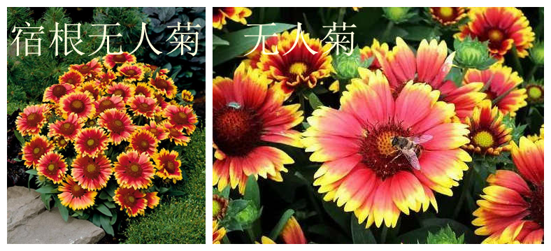 t011fd9b0f65fb0e449_副本.png