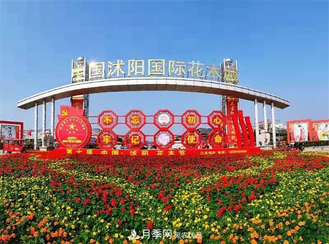 这些中国著名苗木产地你知道几个?值得收藏!(图2) 值得收藏!这些全国著名苗木产地你知道几个?