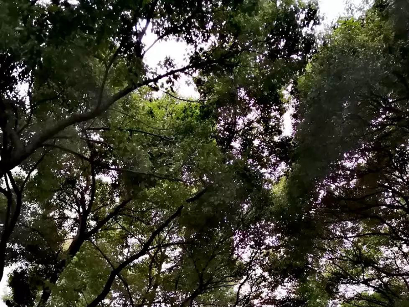 微信图片_20220818233011.jpg