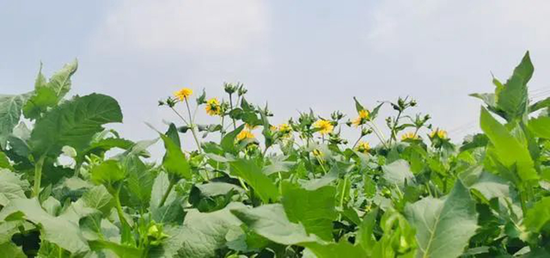 1662973001844215.jpg 微信图片_20220830063639.jpg