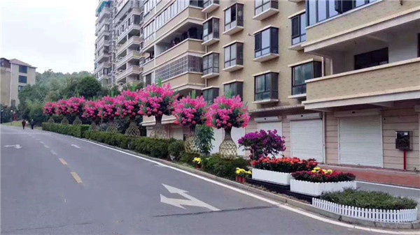 紫薇花瓶图片