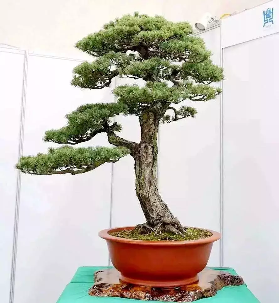 微信图片_20221029234133.png