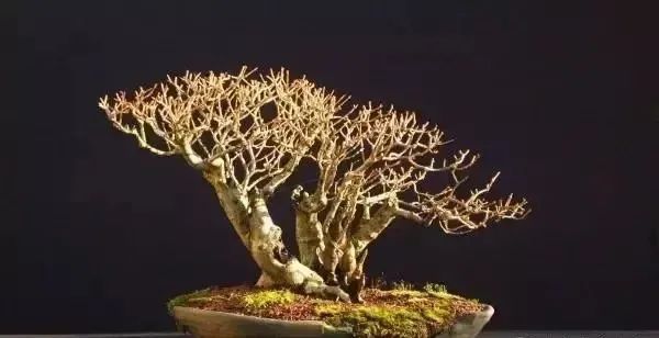 1672956060224108.jpg 微信图片_20230106060029.jpg
