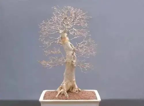 1672956069679113.jpg 微信图片_20230106060025.jpg