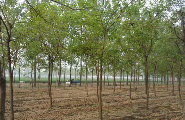 北栾基地实拍 北栾基地实拍