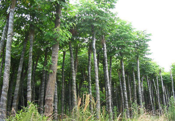 北栾基地实拍 北栾基地实拍