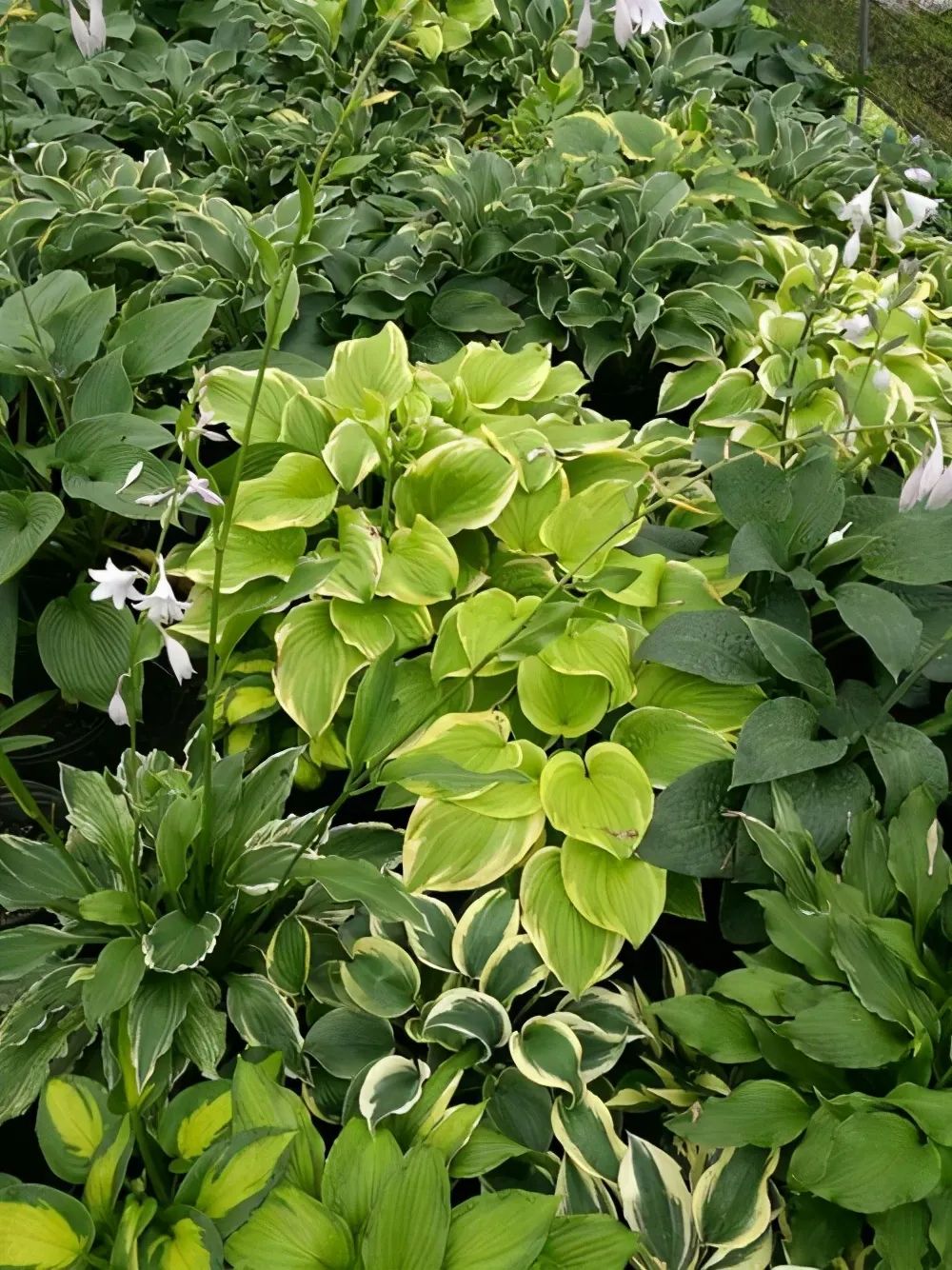 1673144924265134.jpg 微信图片_20230108102806.jpg