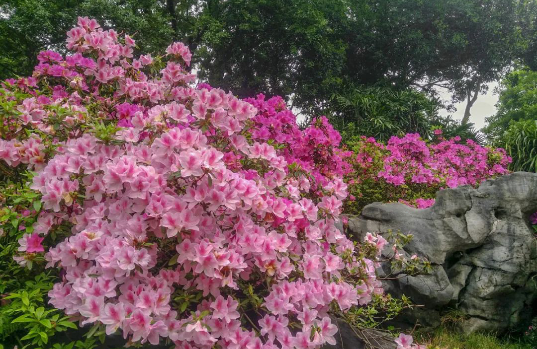 1673150836476274.jpg 微信图片_20230108120536.jpg