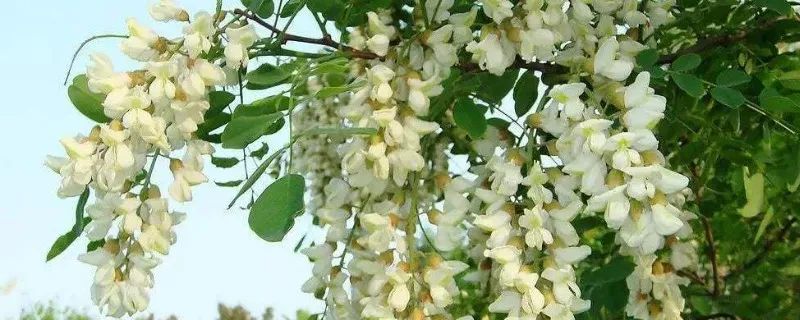 1673274141995391.jpg 微信图片_20221025220229.jpg