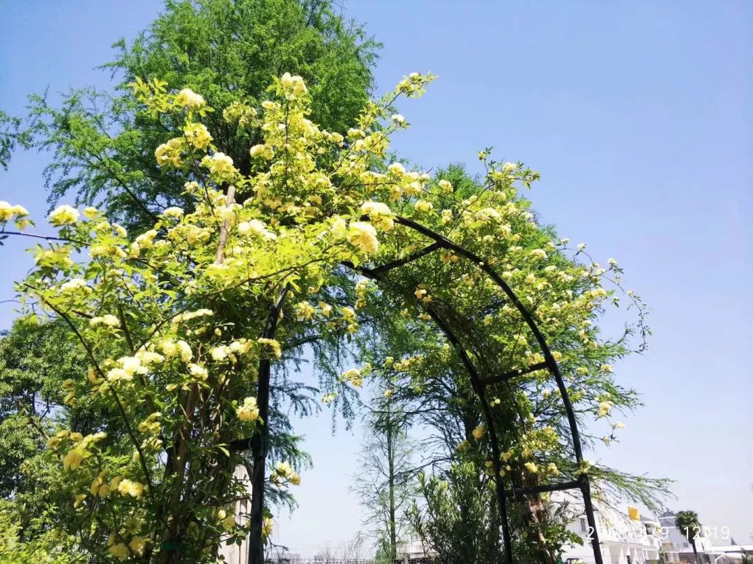 1673356941883606.jpg 微信图片_20230110212120.jpg