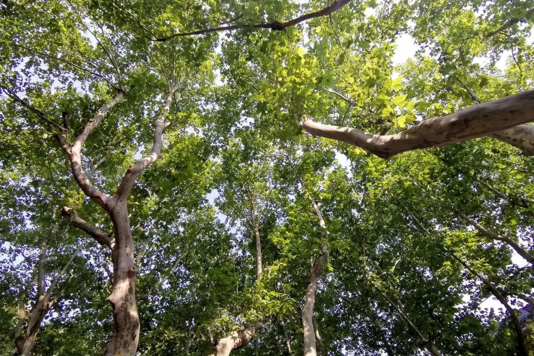1673525792161266.jpg 微信图片_20230112201613.jpg