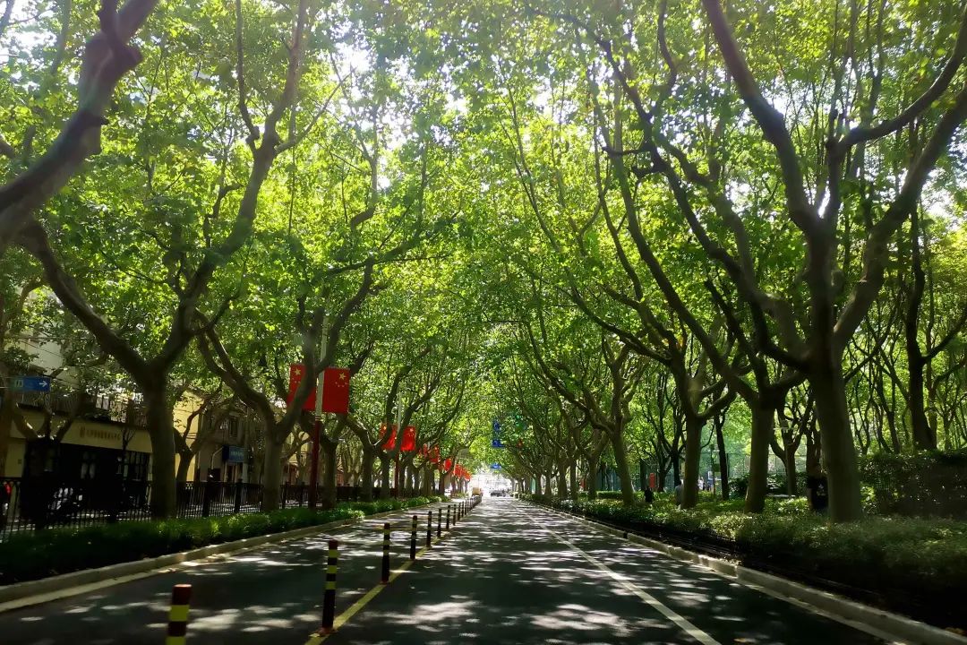1673525812977464.jpg 微信图片_20230112201546.jpg