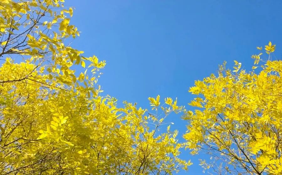 1673559590212089.jpg 微信图片_20230113053728.jpg