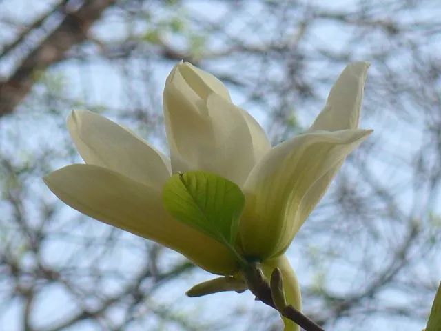 1673560348637627.jpg 微信图片_20230113055150.jpg