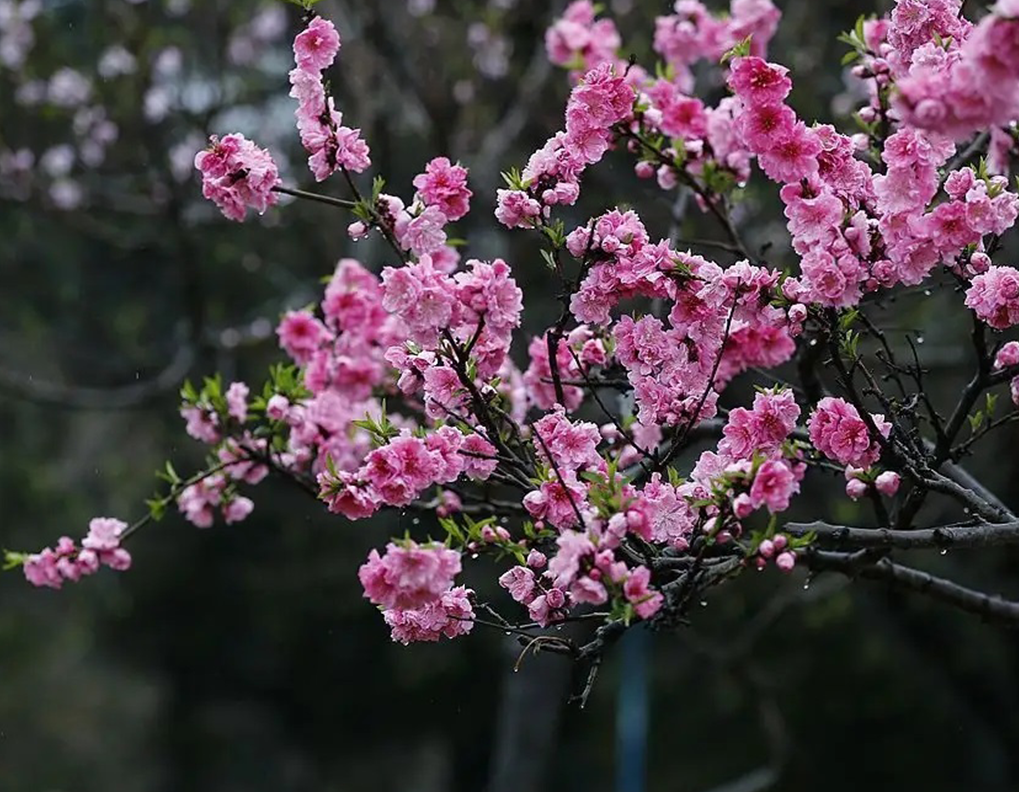 1673779763479065.png 微信图片_20230102170932.png