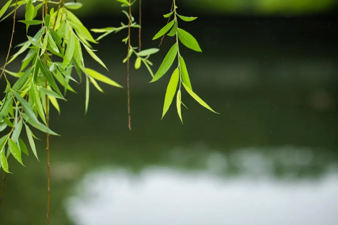 1673824818279671.jpg 微信图片_20230102170421.jpg