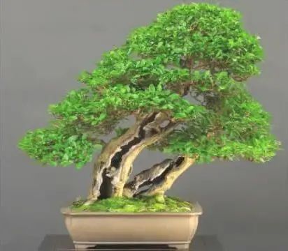 1675196376892800.jpg 微信图片_20230106055953.jpg