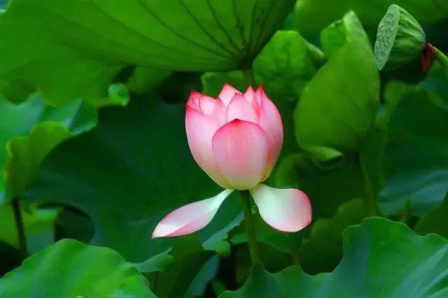 1675198765347294.jpg 微信图片_20221023221631.jpg