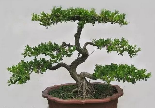 1675290767768949.jpg 微信图片_20230112201358.jpg