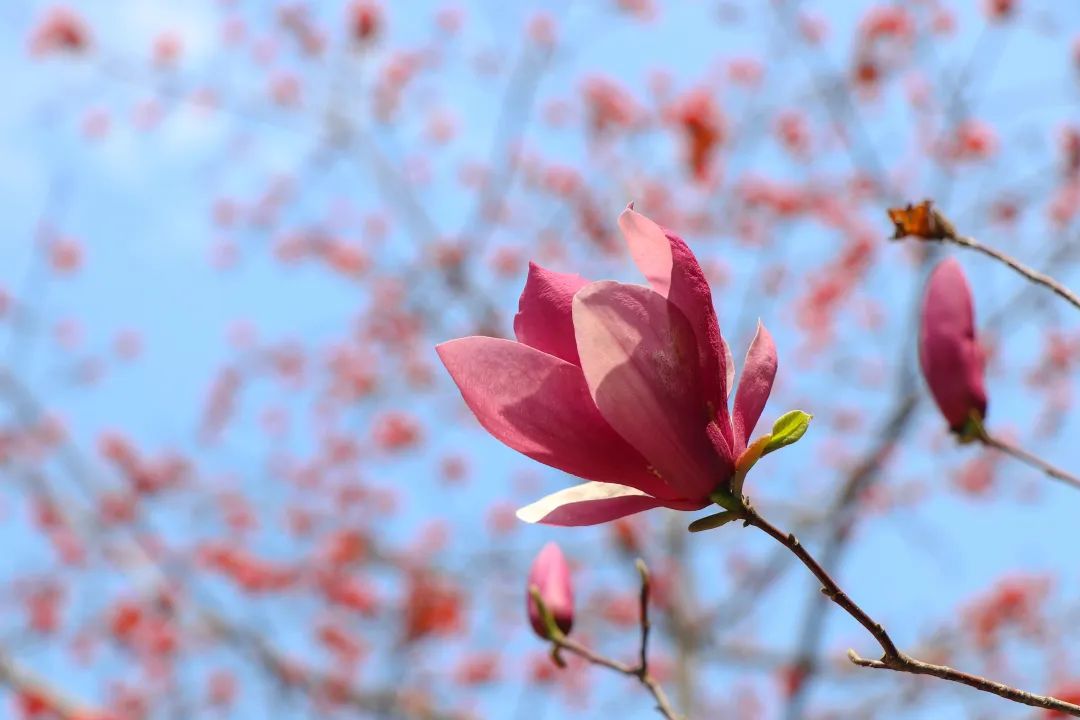 1675479461387839.jpg 微信图片_20221125235203.jpg