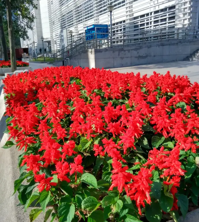微信图片_20221120164439.png