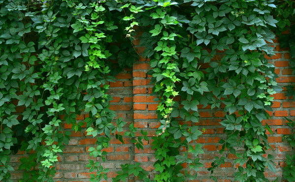 1675490297440971.png 微信图片_20221129022410.png