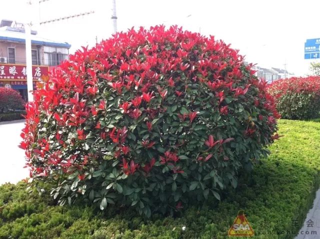 1675491786409833.jpg 微信图片_20230204142205.jpg
